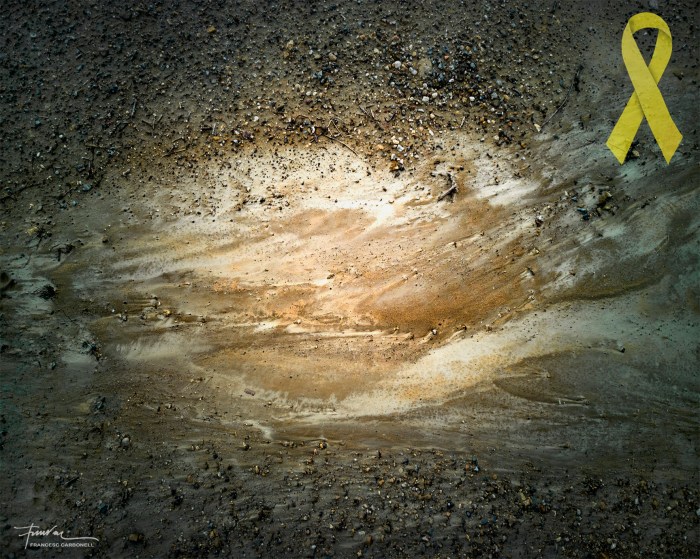 Pòsits i sediments 7b