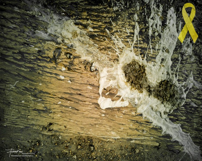 Pòsits i sediments 8b