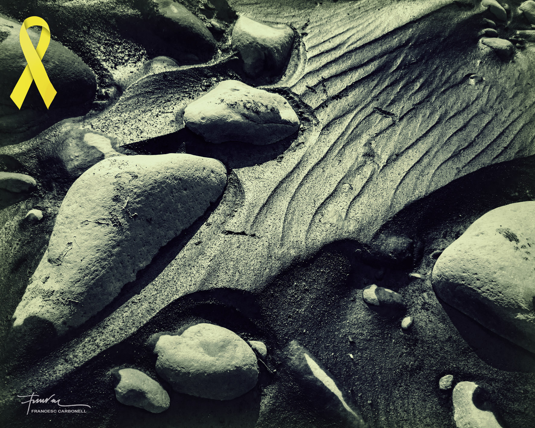 Pòsits i sediments 10b