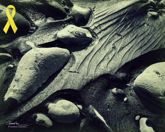 Pòsits i sediments 10b