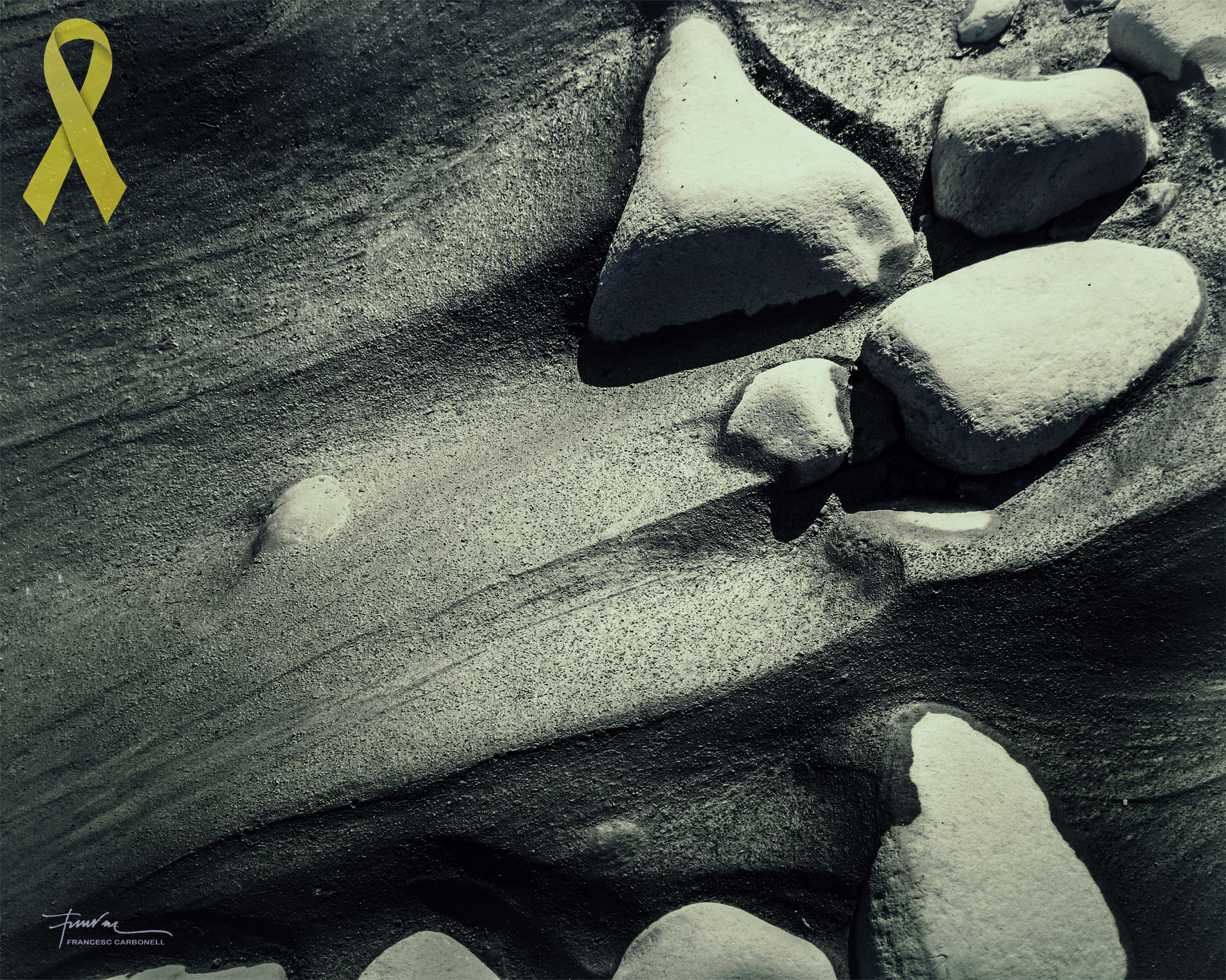 Pòsits i sediments 12b