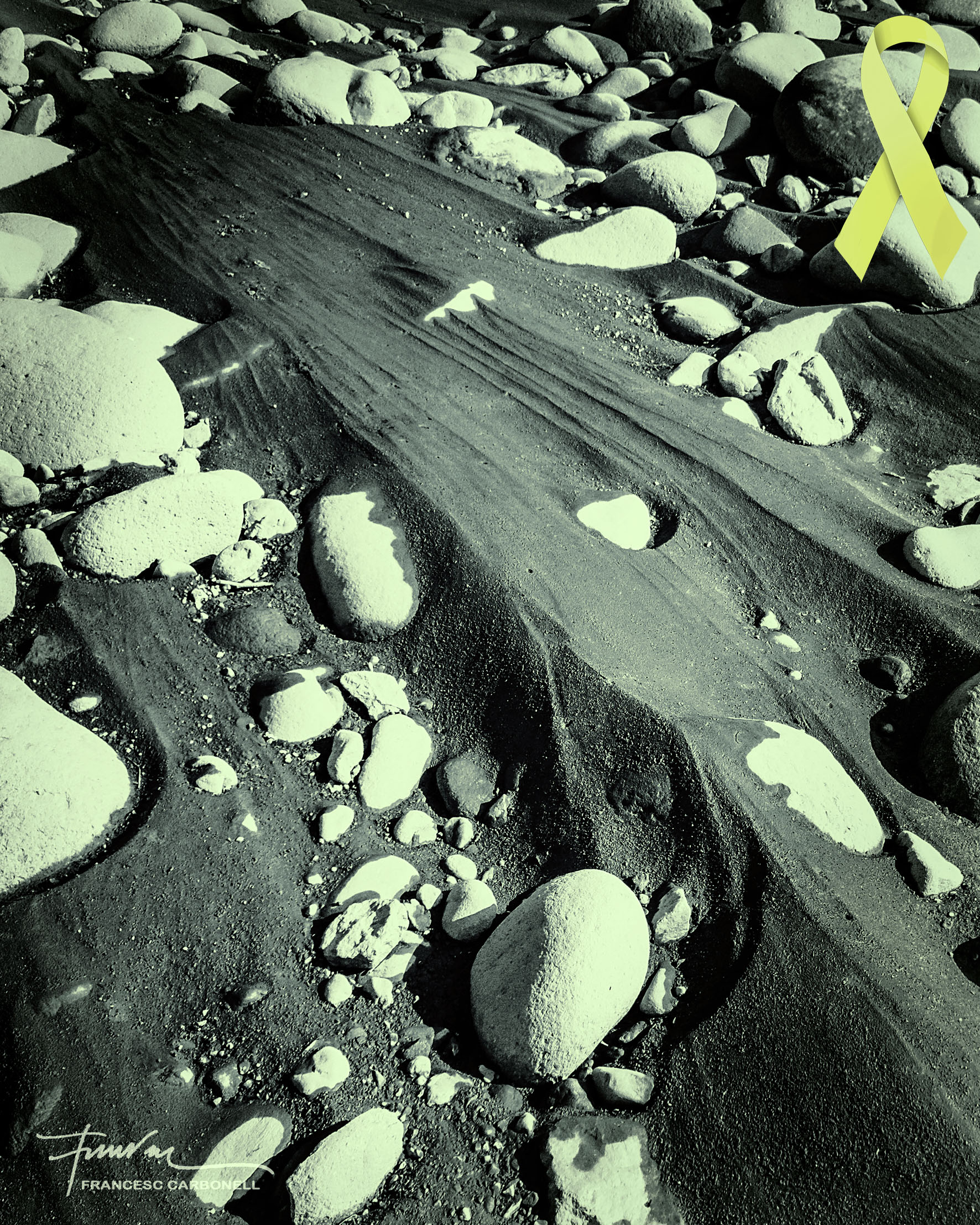 Pòsits i sediments 9b