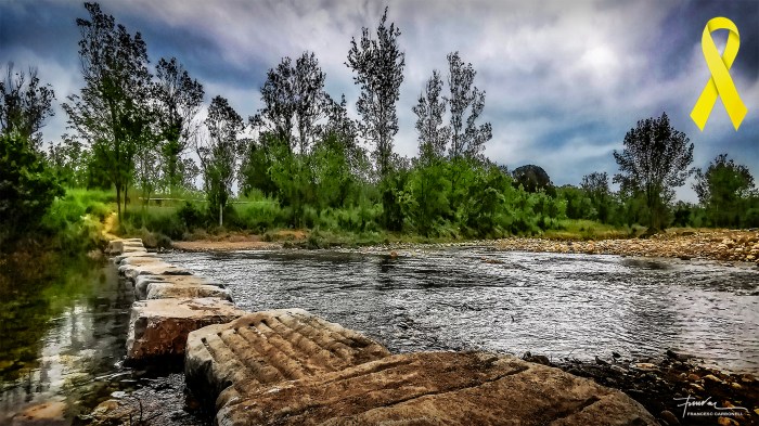 PASSERA DAMUNT LA LLÉMENA B